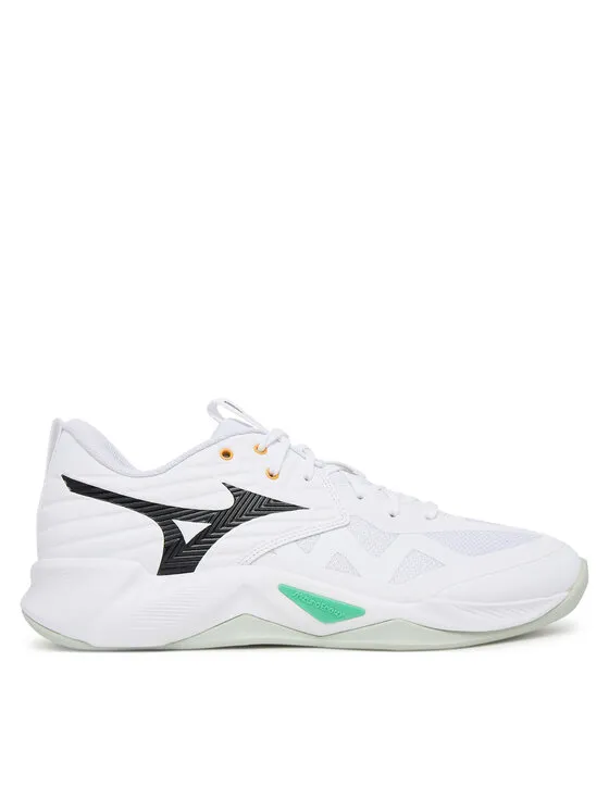 Hallenschuhe Wave Momentum Pro V1GA2540 Weiß