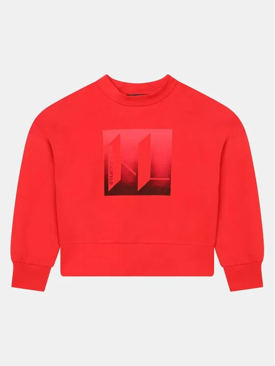 Sweatshirt · Rot