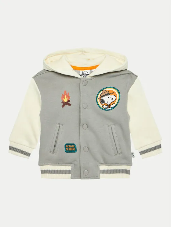 Sweatshirt · Snoopy · Grau