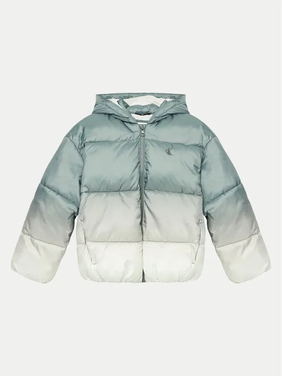 Winterjacke · Grün