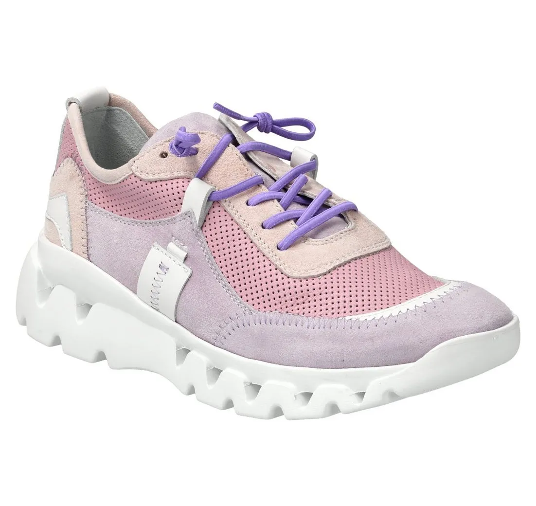 DONNA CAROLINA DAKOTA LILLA Sneaker