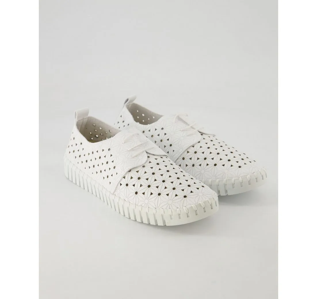 TERRY Poppy Sneaker Obermaterial: Sonstiges Material