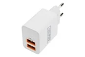 DIGITUS power adapter - 2 x USB - 15.5 Watt