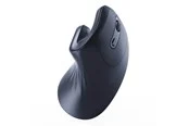 Gembird Ergonomic 6-button wireless optical mouse - Ergonomische Maus (Schwarz)