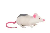 Pocket Money Stretchy Mouse 12cm