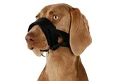Trixie Muzzle loop nylon L–XL black