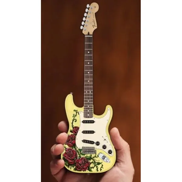 Fender David Lozeau Roses