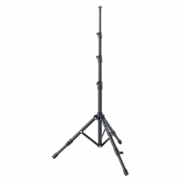 goStand
