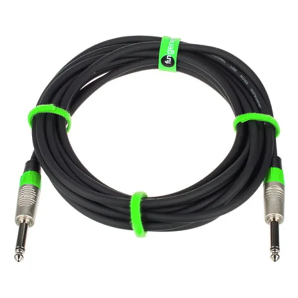 INS 10