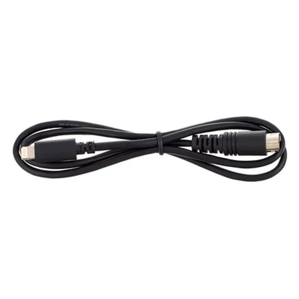 Lightning to Mini-DIN cable