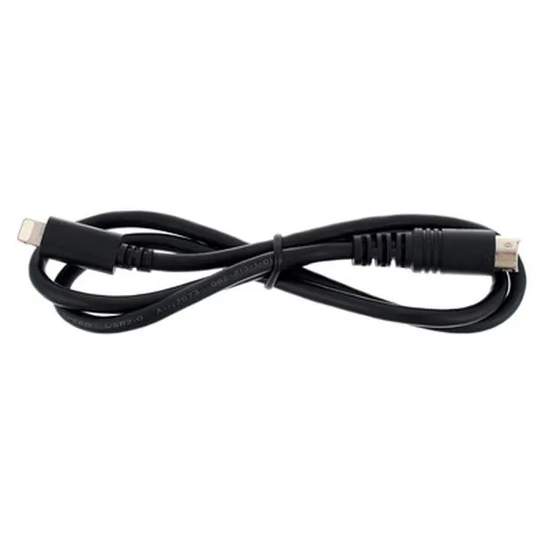 Lightning to Mini-DIN Charging