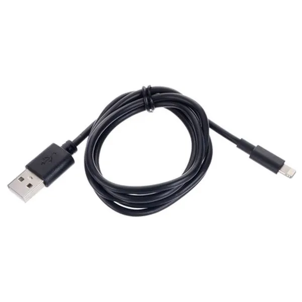 Lightning/ USB-A 100