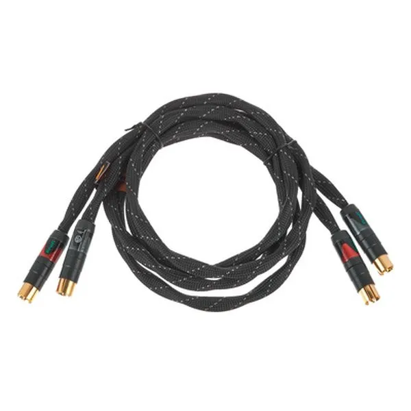 link protect A 2x 100 RCA