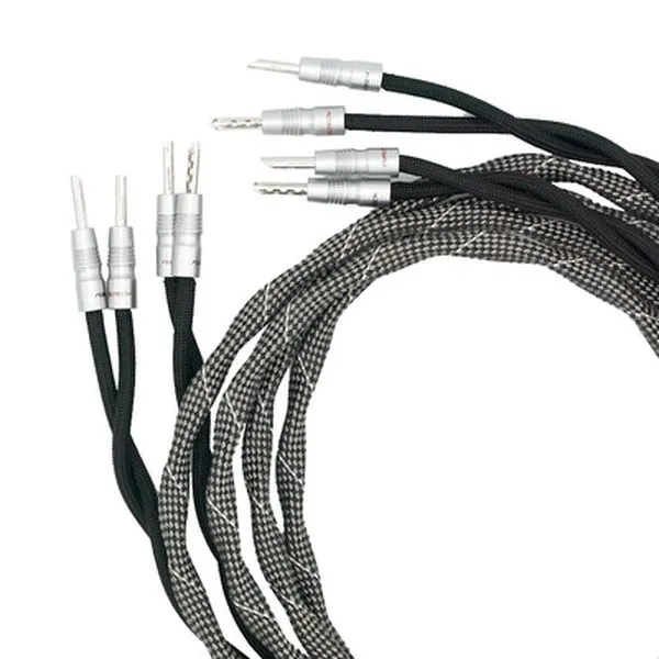 sonorus drive 2x 250 Banana