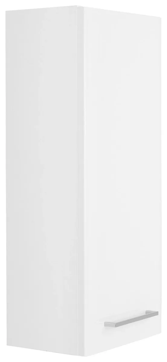 HÄNGESCHRANK 30/70/20 cm
