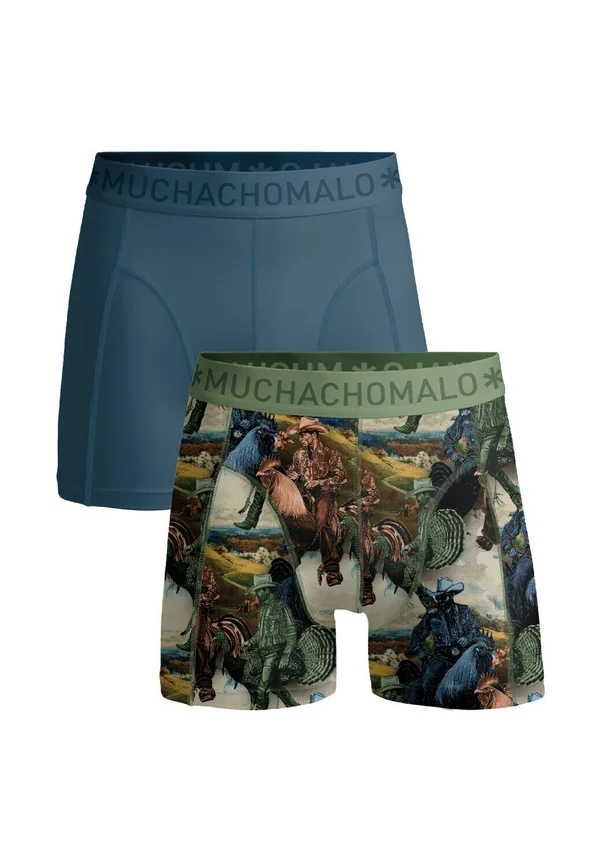 2-PACK PRINT SOLID - Trunks - print blue