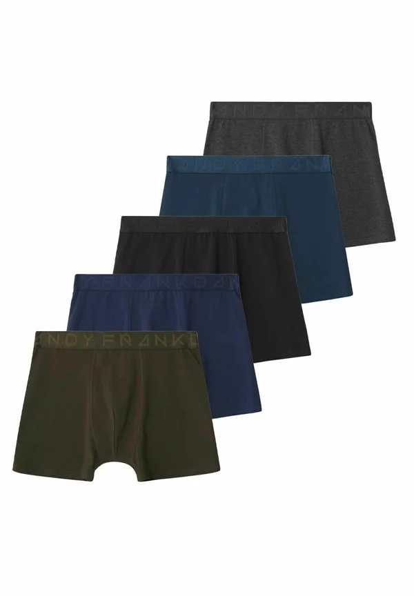 5-PACK LEGEND BOXER BRIEF - Trunks - multicolor