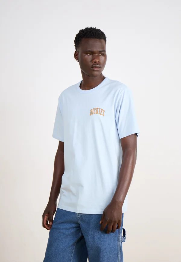 AITKIN CHEST - Print T-shirt - skyway