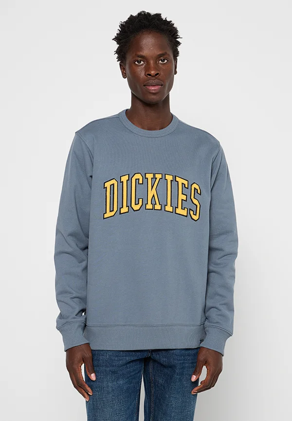 AITKIN - Sweatshirt - stormy weather