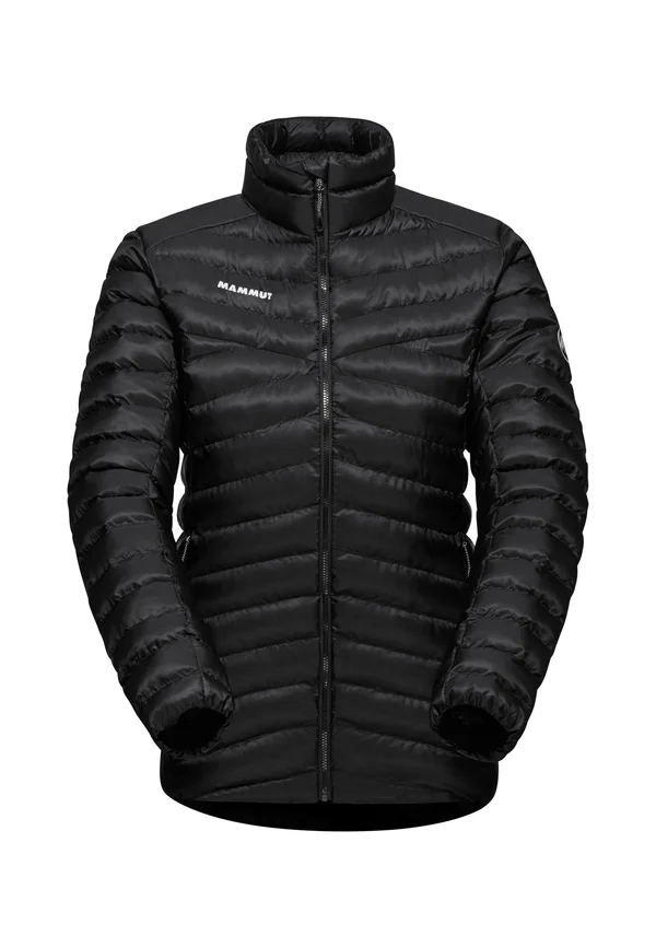 ALBULA - Winter jacket - black
