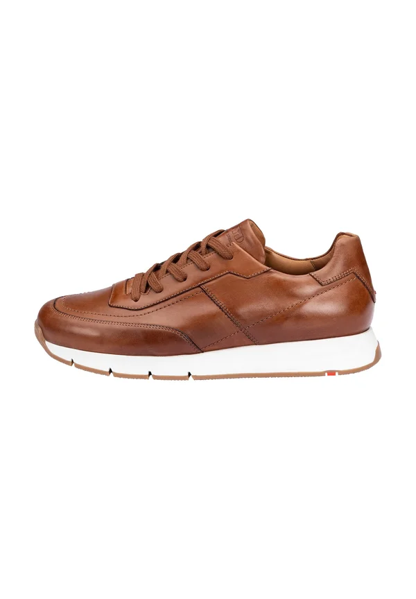 AMSTERDAM - Trainers - braun
