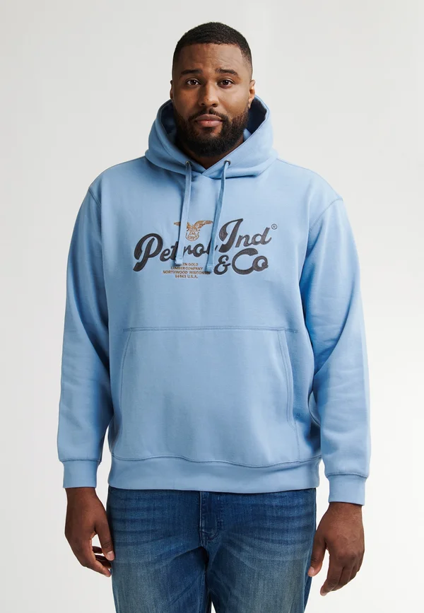 ARTWORK  FLAGSTAFF - Hoodie - pale blue