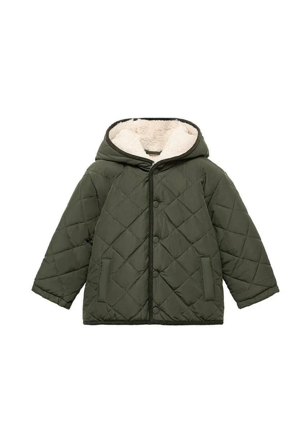 BABY - Winter jacket - khaki