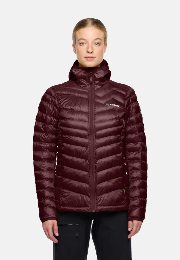 BATURA INSULATION - Winter jacket - dark oak