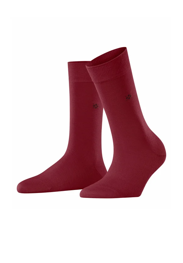 BLOOMSBURY - Socks - cranberry