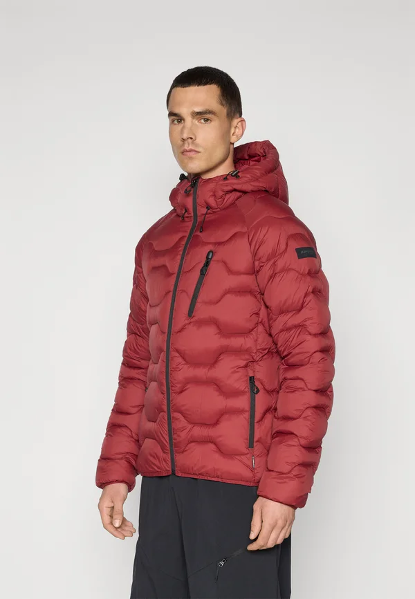 BRANCH - Winter jacket - wine