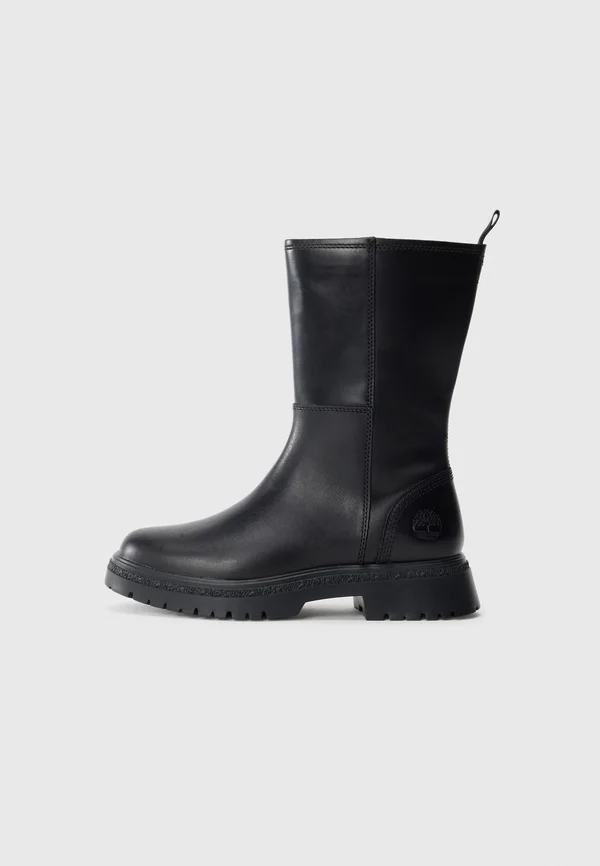 CAMBRIA VALLEY - Classic ankle boots - black