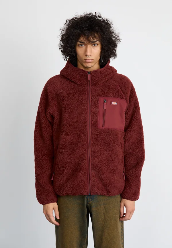 CENTRAL HOODED - Fleece jacket - andorra
