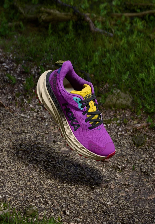 CHALLENGER 7 GTX - Trail running shoes - super bloom/oatmeal