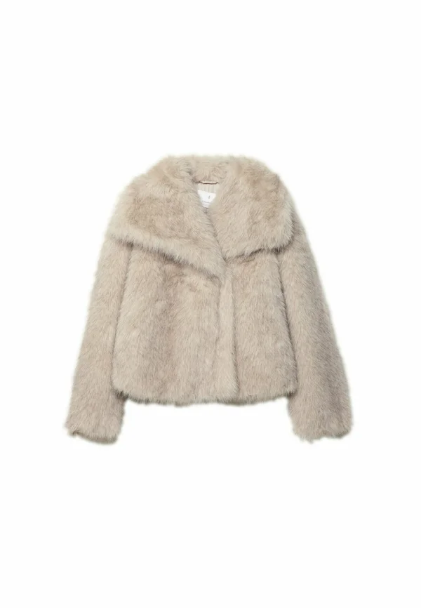 CROPPED  - Winter jacket - stone