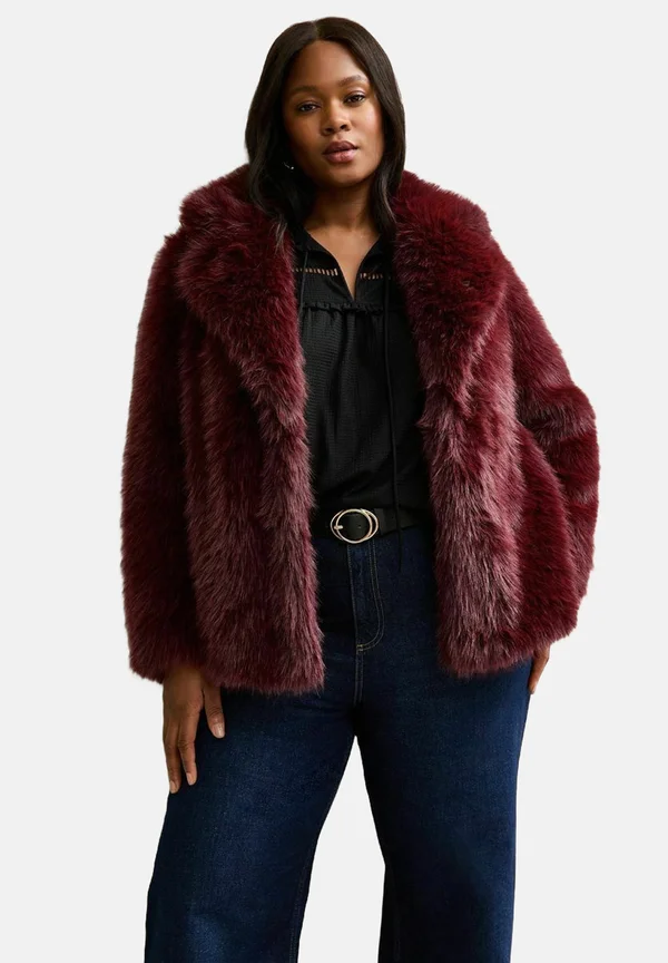 CURVES - Winter jacket - burgundy