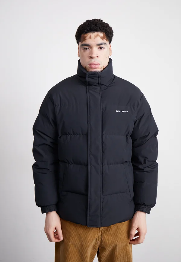 DANVILLE JACKET - Winter jacket - black/white