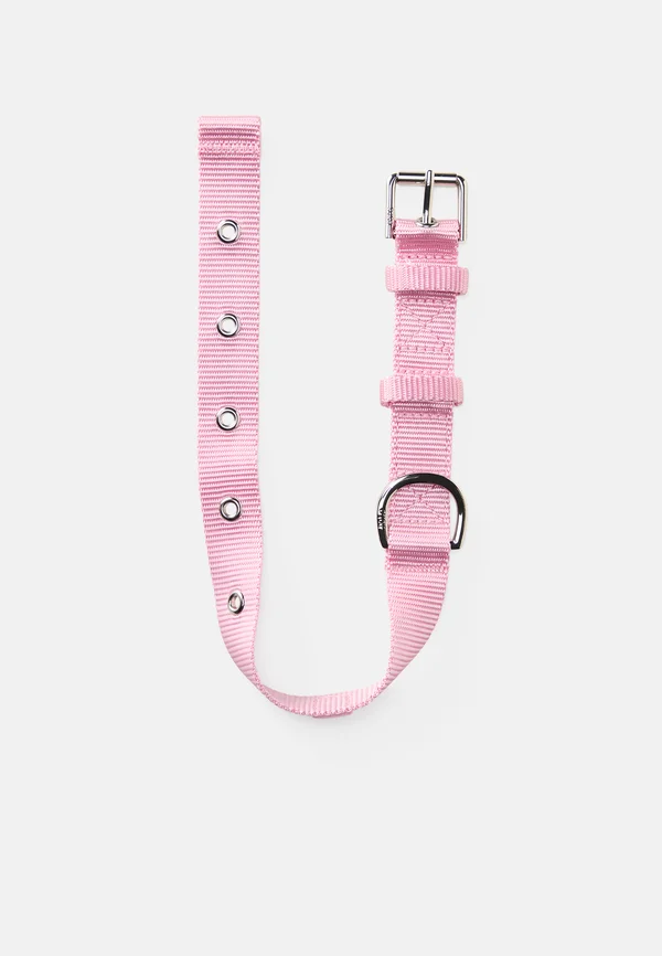 DOG COLLAR UNISEX - Pet accessory - pink