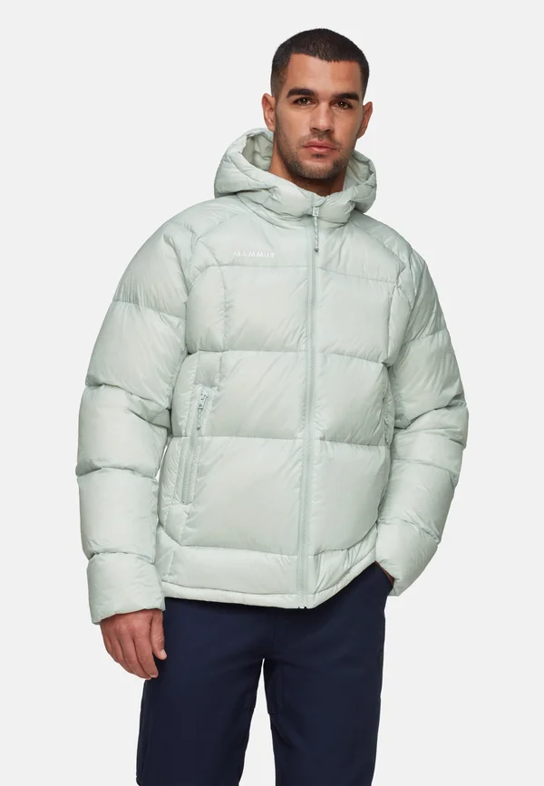 GLACIER GLOW - Down jacket - silver sage