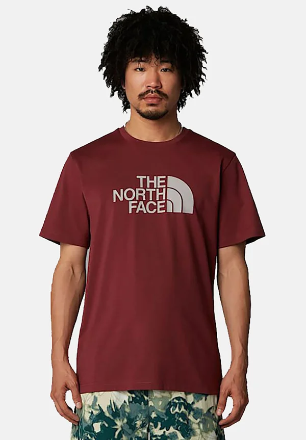 EASY - Print T-shirt - sumac moonstone