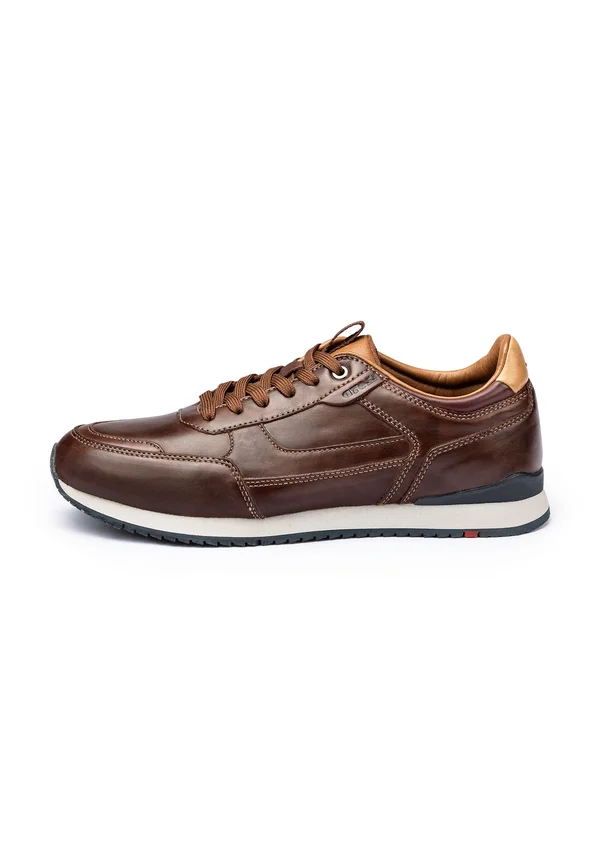 EDITTA - Trainers - braun