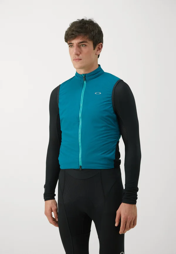 ENDURANCE ALPHA VEST - Waistcoat - new balsam