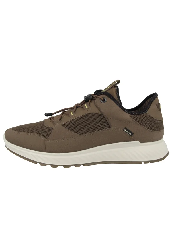 EXOSTRIDE LOW GTX TEX - Trainers - birch