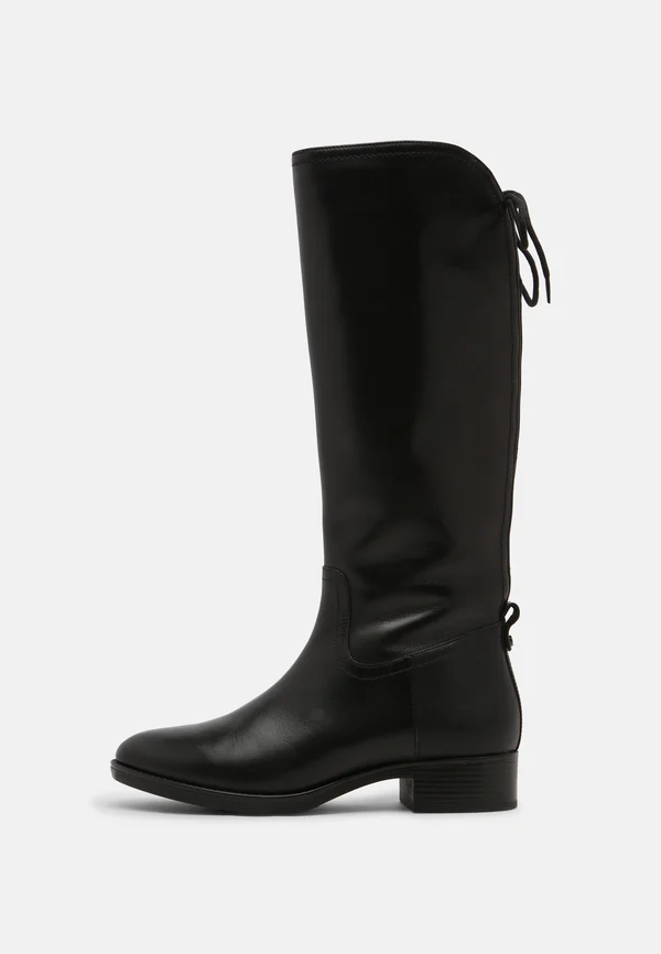 FELICITY - Lace-up boots - black