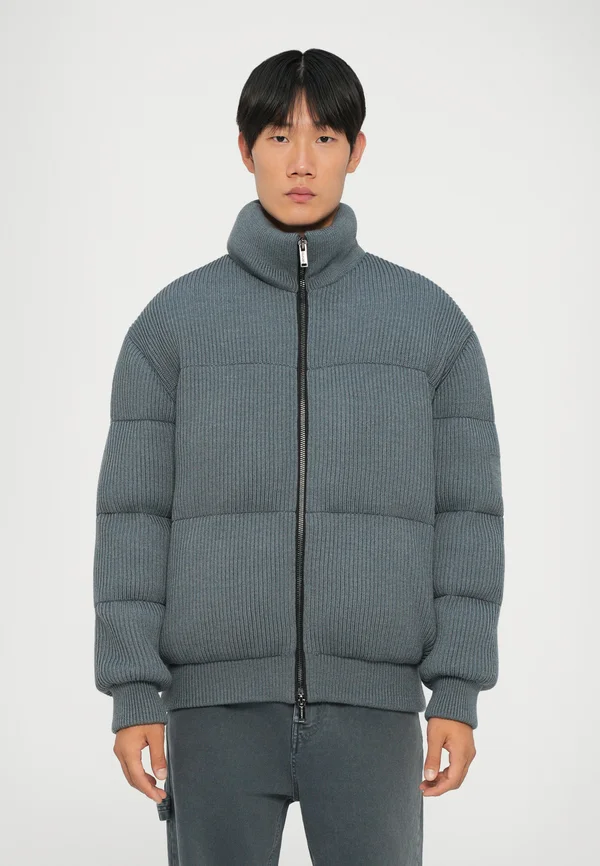 GIUBBOTTO - Winter jacket - grigio scuro