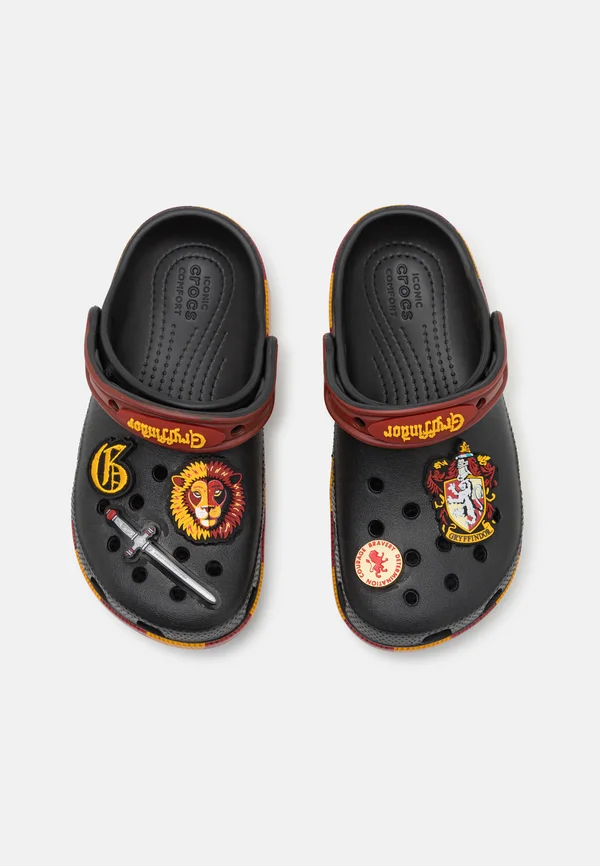 HARRY POTTER GRYFFINDOR UNISEX - Pool slides - multi-coloured