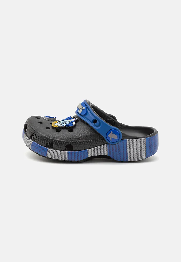 HARRY POTTER RAVENCLAW UNISEX - Pool slides - multicolor