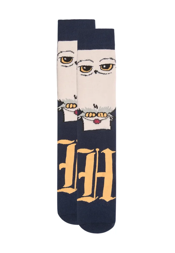 HARRY POTTER - Socks - multicolor with print