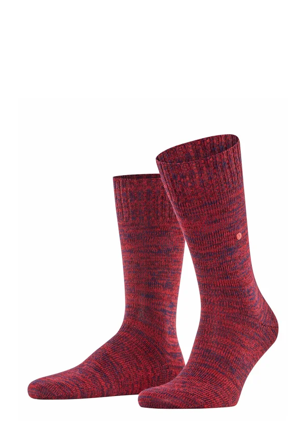 HILL - Socks - claret