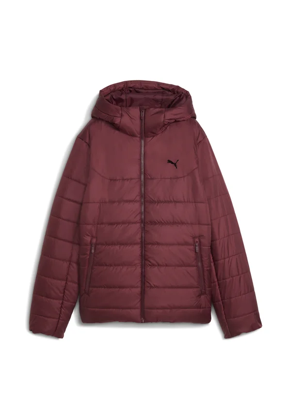 HOODED PADDED - Winter jacket - ruby shimmer