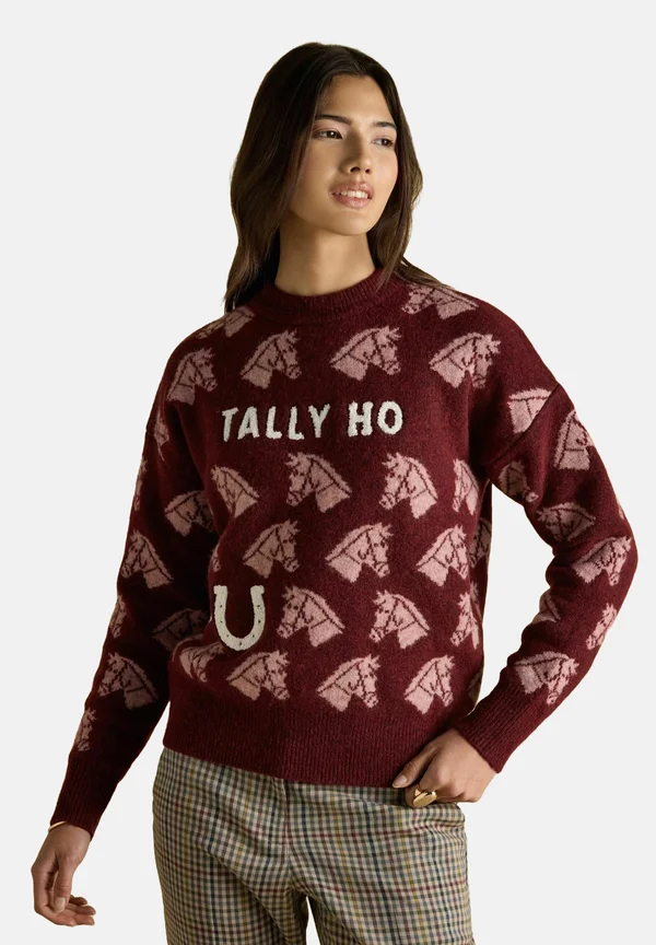 INTARSIA - Jumper - tally ho